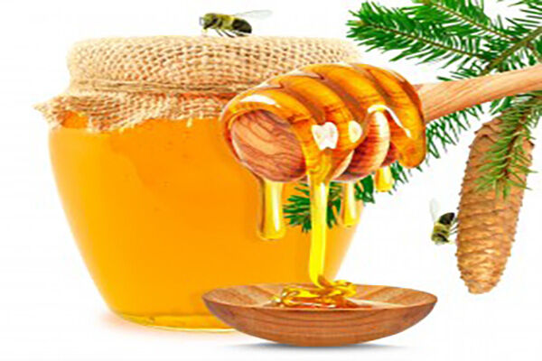 土蜂蜜和洋槐蜜的区别是？